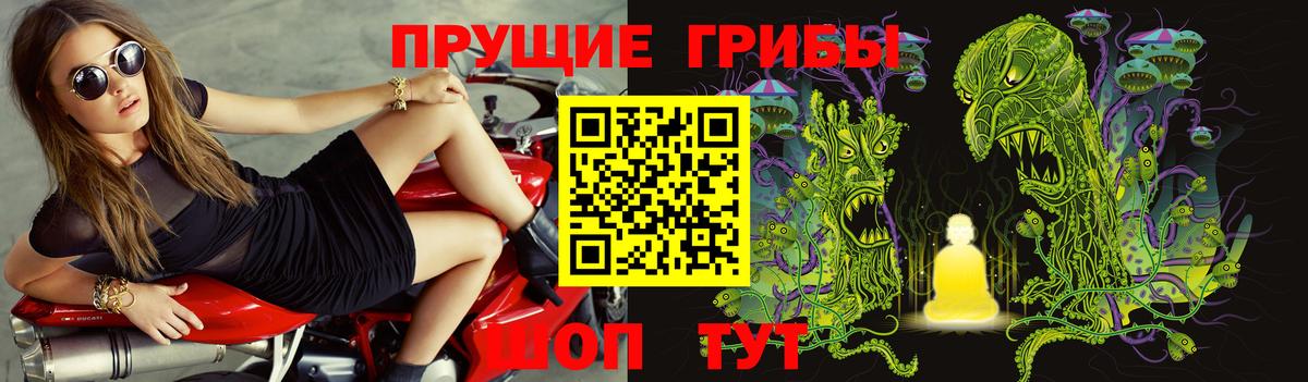 Галлюциногенные грибы GOLDEN TEACHER  Псилоцибиновые грибы GOLDEN TEACHER  Новый Уренгой  Вход с VPN 