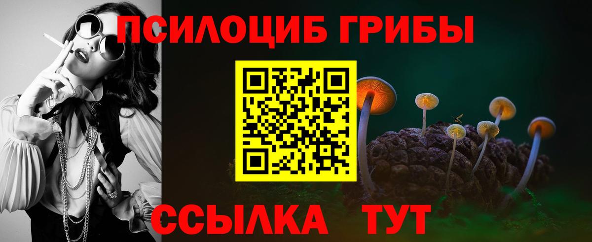 Галлюциногенные грибы GOLDEN TEACHER Новый Уренгой